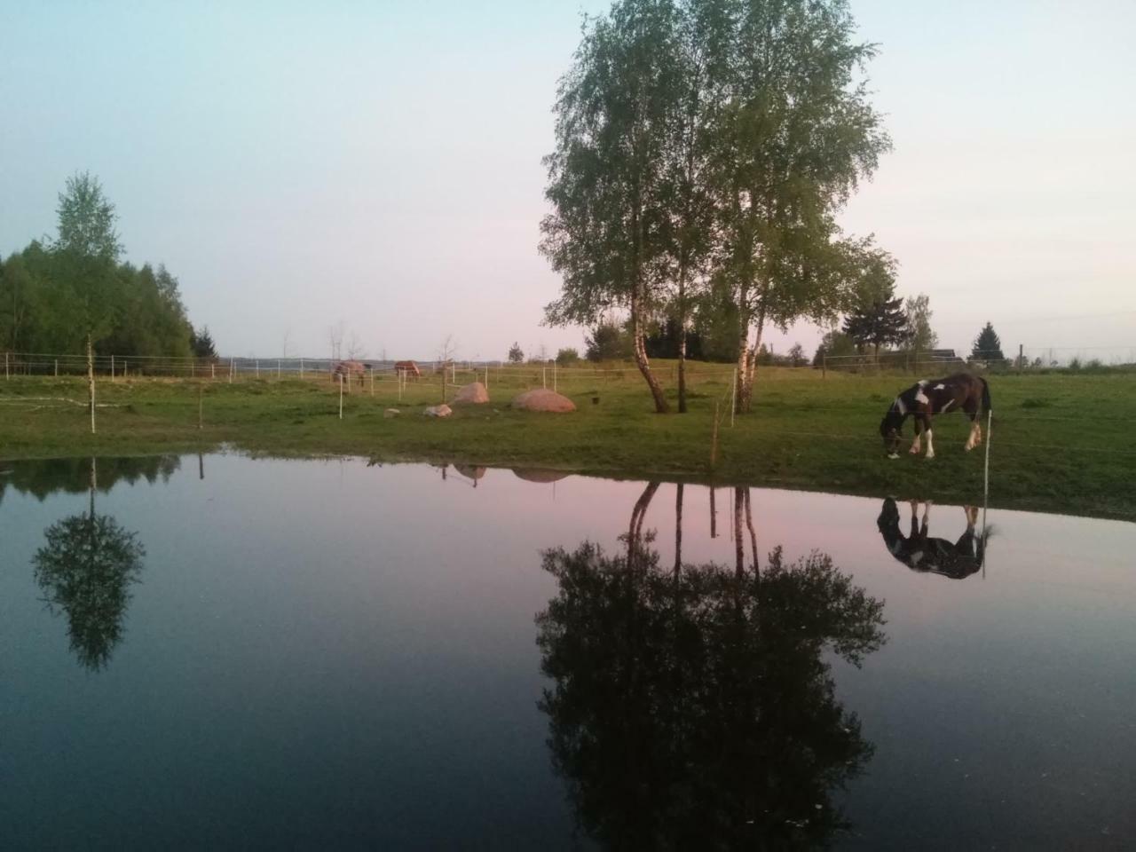 Villa Cheval Aukštadvaris 외부 사진