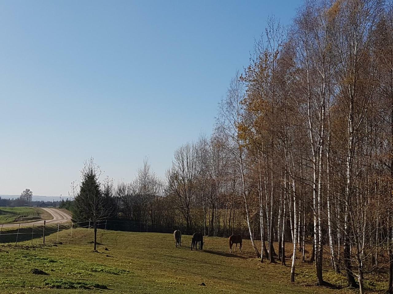 Villa Cheval Aukštadvaris 외부 사진